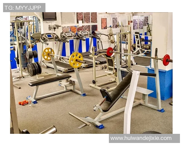 全面解析健身器材使用技巧与训练方法的教学视频指南