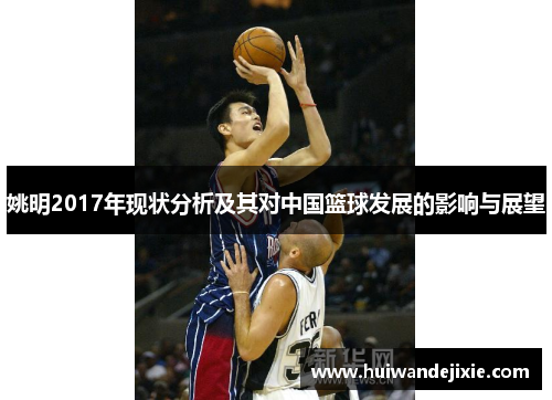 姚明2017年现状分析及其对中国篮球发展的影响与展望